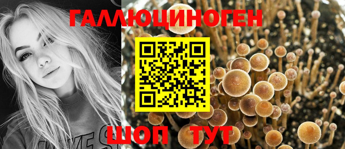 Сочи  Галлюциногенные грибы мухоморы  Вход с VPN 